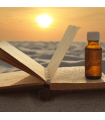 Essential Oils - Synergies and Bio-formulations for Spiritual Work