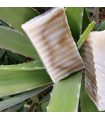 Aloe Fresh Solid Soap