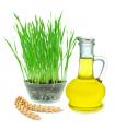 Wheat Germ Carrier Oil