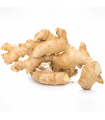 Ginger Fresh Essential Oil